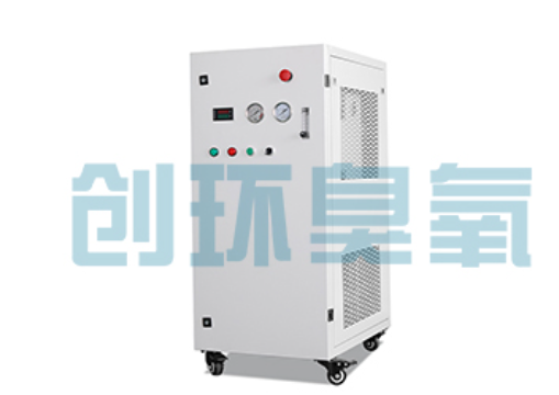 常德石斑鱼养殖水质调控完整指南：臭氧发生器配置与操作步骤